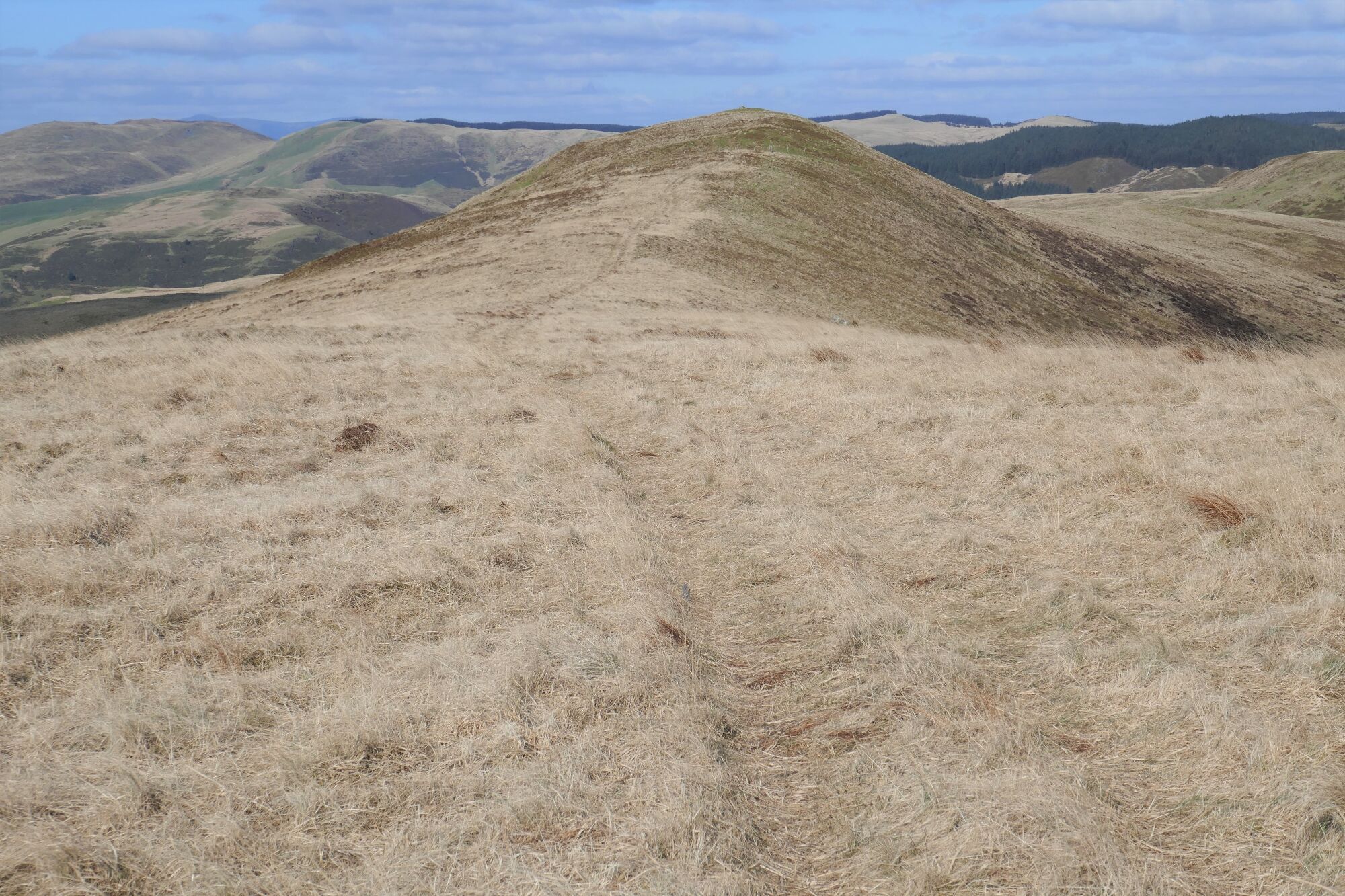 RachelSeabrook.net | Wild Walking | Cwm Cyneiniog and Craig y Pistyll | pic39